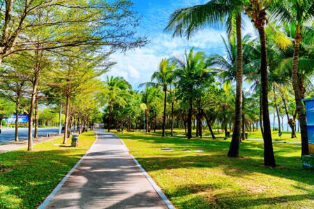 Coconut Dream Corridor