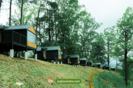 Rekomendasi Terbaik Glamping Malang untuk Keluarga